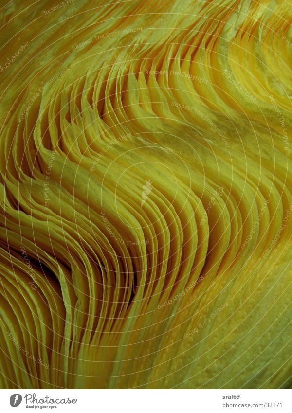 Yellow wrinkles Napkin Macro (Extreme close-up) Close-up Wrinkles dx 6490