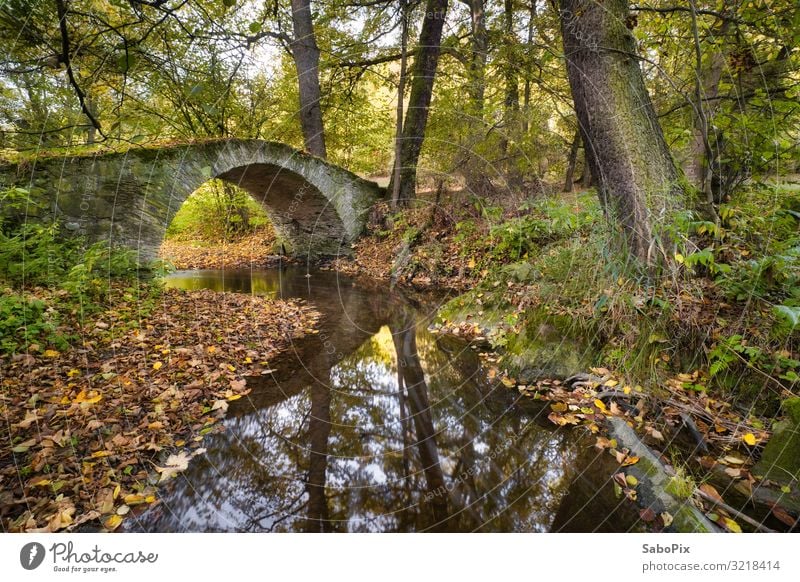 old stone bridge Trip Adventure Hiking Environment Nature Landscape Plant Elements Earth Water Autumn Beautiful weather Tree River bank Brook Deserted Stone Old