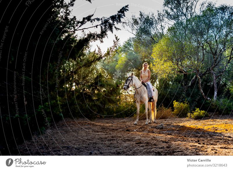 A attractive blonde woman riding a horse Lifestyle Joy Happy Beautiful Relaxation Calm Summer Garden Human being Woman Adults Man Family & Relations Nature