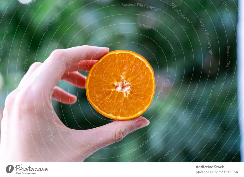 Woman holding ripe orange tangerine mandarin garden fresh woman healthy organic nutrition sweet tasty juicy vitamin summer delicious female natural refreshing