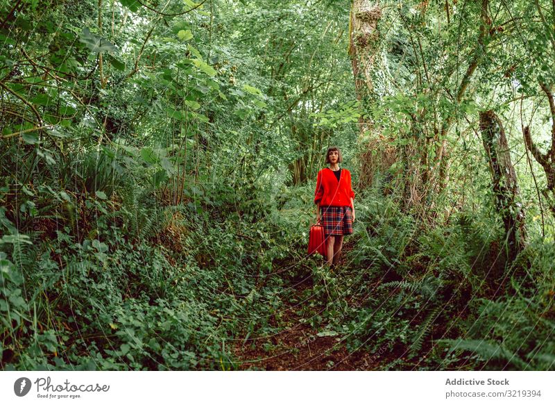 Woman in red with big red suitcase in forest woman travel stylish green female luggage nature beautiful bag piercing waiting freedom alone trip journey tree