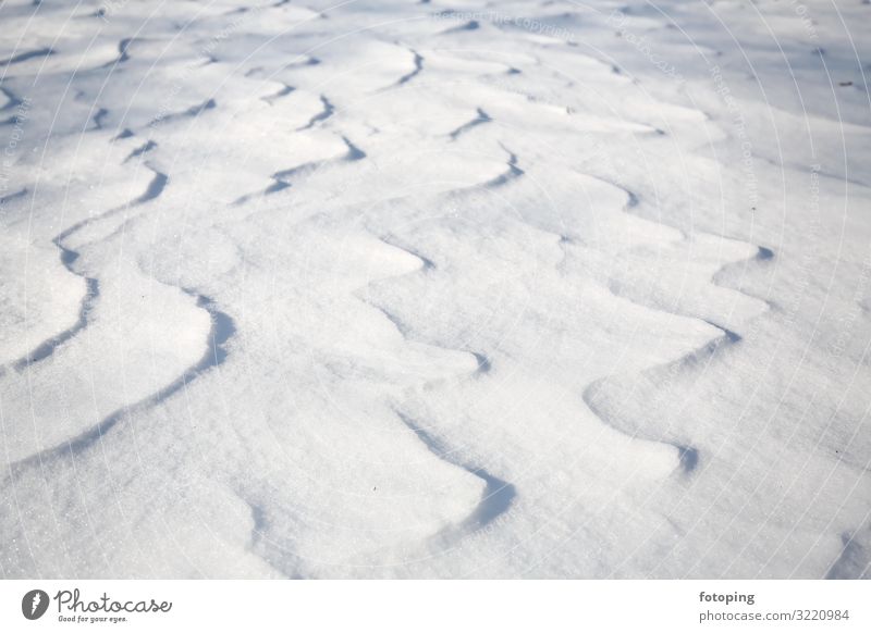 fresh snow Winter Snow Nature Landscape Wind Ice Frost Cold White Snowdrift Snow layer Snowscape dunes Dune Frozen Powder snow country Erosion