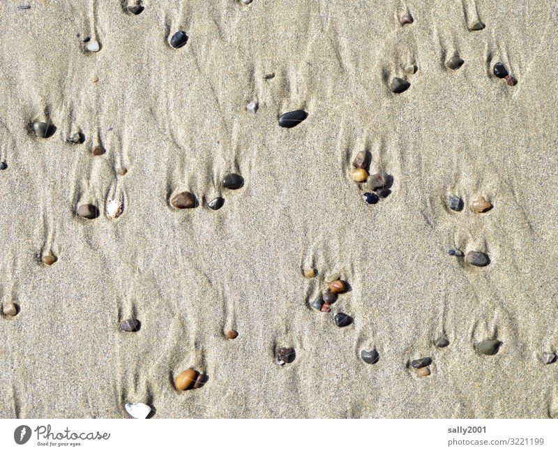 flotsam... Coast Beach Stone Lie Esthetic Small Maritime Contentment Relaxation Serene Pebble Mussel shell Tide Low tide Meditation Rinse Flotsam and jetsam