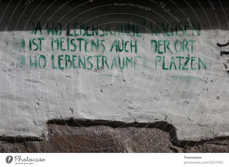 think Vacation & Travel House (Residential Structure) Wall (barrier) Wall (building) Stone Characters Graffiti Dark Authentic Brown Green White Emotions Pain