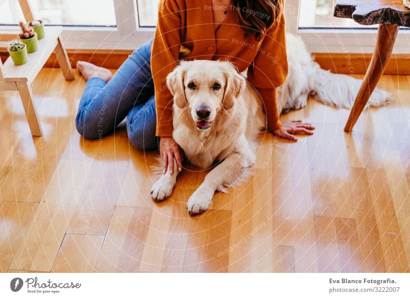 beautiful woman hugging her adorable golden retriever dog at home. love for animals concept. lifestyle indoors Woman Dog Home Golden Retriever Embrace Love