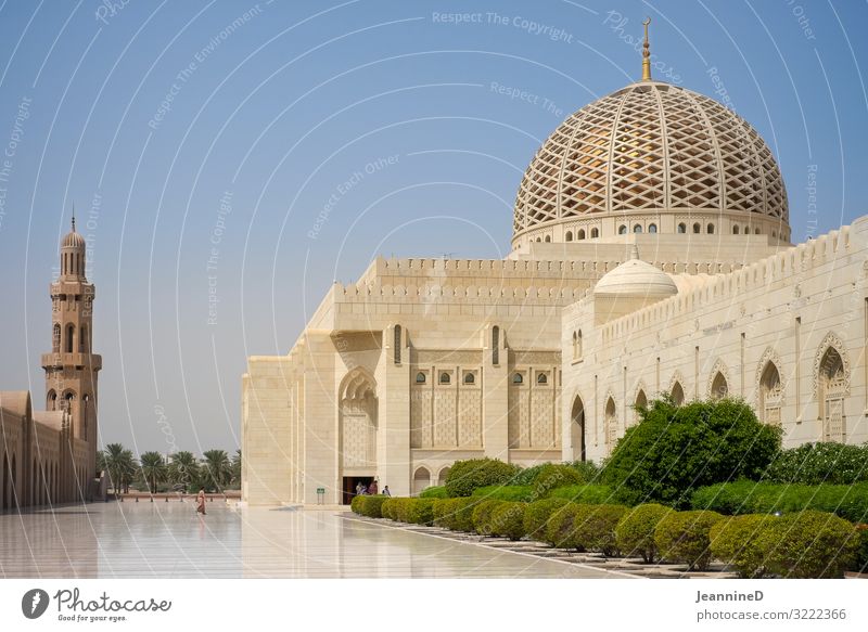 Sultan Qaboos Mosque in Muscat Vacation & Travel Landmark Work of art Summer Oman Near and Middle East Palace Places Tourist Attraction Exceptional Gigantic