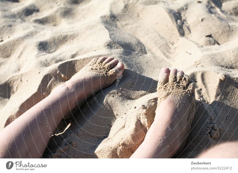 Children's feet in the sand Vacation & Travel Summer Summer vacation Sun Beach Infancy Legs Feet 3 - 8 years Sunlight To enjoy Playing Happy Small Cute Joy