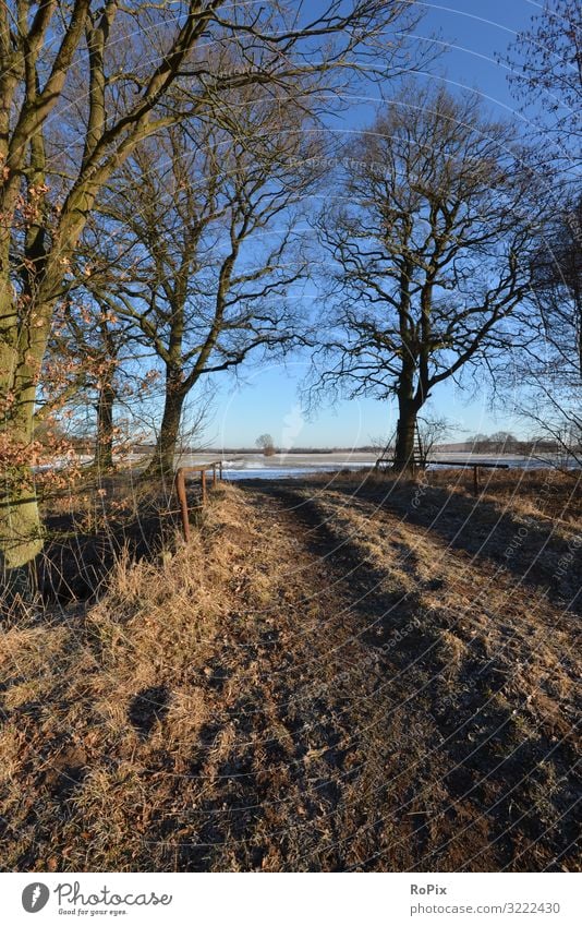 Frosty morning outdoors. Lifestyle Healthy Fitness Wellness Harmonious Contentment Relaxation Meditation Leisure and hobbies Vacation & Travel Trip Hiking