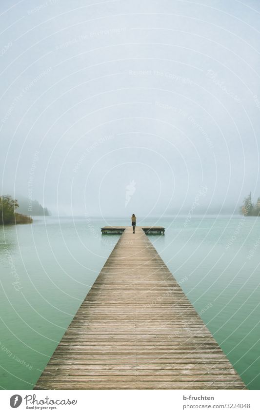 long jetty in the fog 1 Human being Nature Landscape Sky Autumn Bad weather Fog Lakeside Looking Stand Wait Change Lanes & trails Target Contentment Future