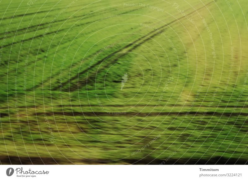 ¡Trash! 2020 | Train Ride train ride Window reflection blurriness Field acre Green lines Speed trash Nature Landscape Deserted