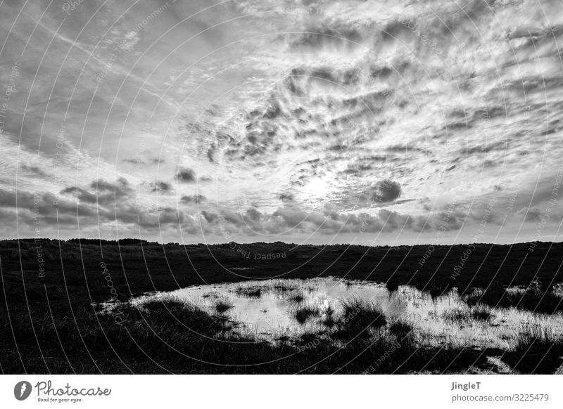 dark dune Environment Nature Landscape Sky Clouds Spring Island Ameland Dune Black White Serene Patient Calm Contentment Black & white photo Exterior shot