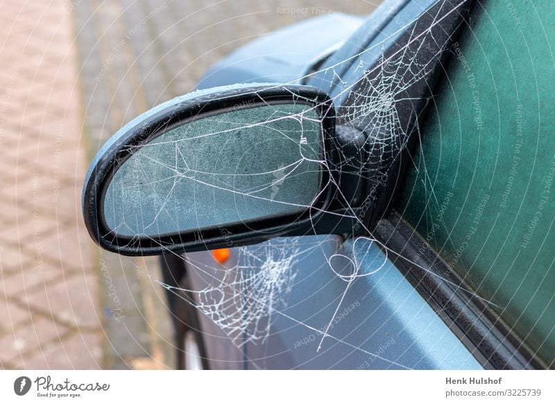 Frozen spiderweb on a car mirror Transport Street Car Glass Metal Plastic Blue Black Logistics Spider's web icy Mirror Colour photo Exterior shot Deserted