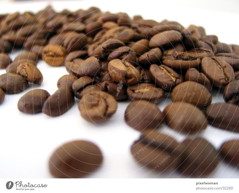 coffee beans Village Beans Coffee bean Nutrition