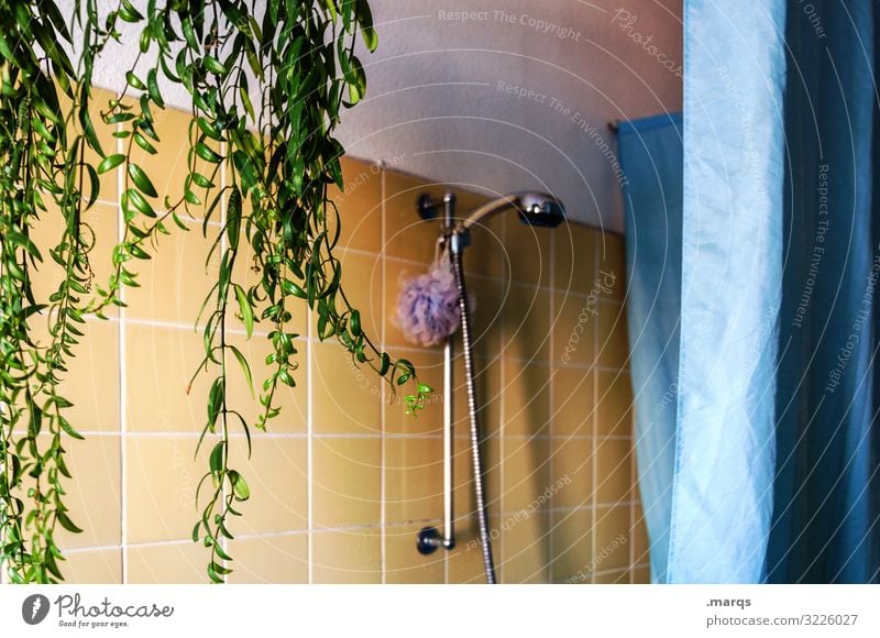 bathroom Lifestyle Flat (apartment) Bathroom Shower head Plant Shower curtain Tile Authentic Retro Blue Yellow Green Clean Old building Colour photo