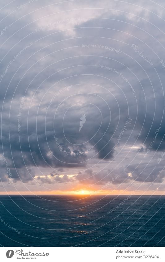 Grassy shore near stormy sea in evening sunset grass overcast sky wave foam water weather dramatic ocean nature coast seascape view splash cloud sundown dusk