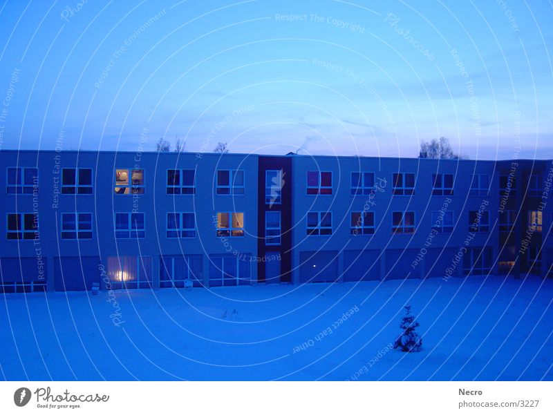 House in winter blue Winter House (Residential Structure) Window Fir tree Tree Sunset Moody Architecture Blue Snow Evening