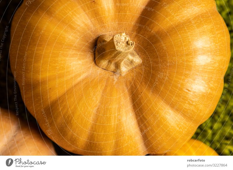 autumn center background with orange tones Design Beautiful Nature Plant Autumn Leaf Natural Yellow Red Colour Organic October Seasons November fall seasonal