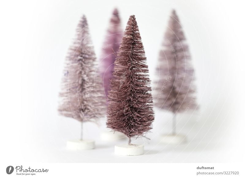 Modern fir trees Harmonious Winter Living or residing Decoration Feasts & Celebrations Christmas & Advent Stage Environment Snow Tree Fir tree Toys Hairbrush