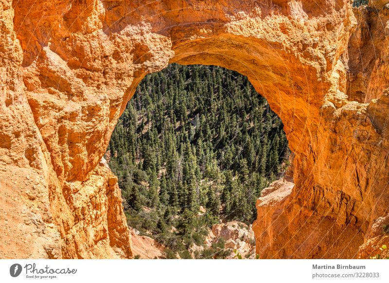 Natural Bridge close-up, Bryce Canyon Utah Vacation & Travel Tourism Nature Landscape Park Rock Stone Red Colour natural bridge bryce arch Arizona USA america