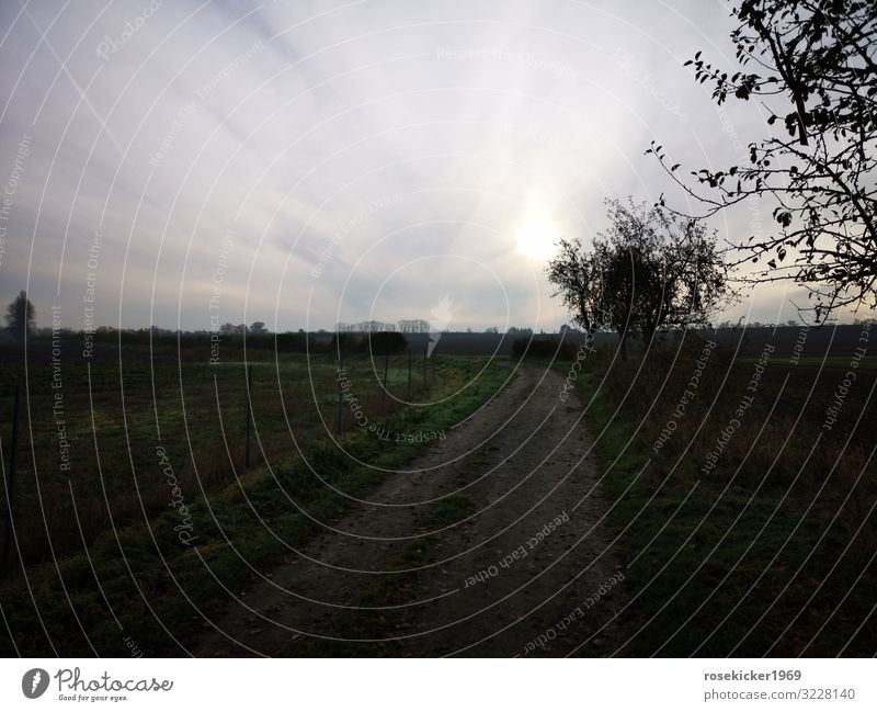 autumn morning Nature Landscape Clouds Sun Sunrise Sunset Sunlight Autumn Tree Field Deserted Pedestrian Lanes & trails To enjoy Hiking Infinity Natural Happy