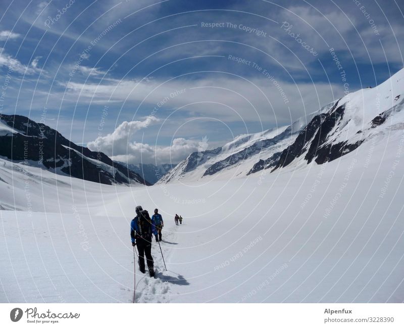 The Alpine Space - infinite expanses Climate Climate change Beautiful weather Ice Frost Snow Rock Alps Mountain Peak Snowcapped peak Glacier Walking Hiking