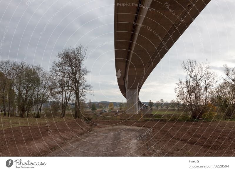 Architecture and nature| Bridge swing bridge Highway motorway bridge Curve Spirited Overpass Concrete Traffic infrastructure Manmade structures