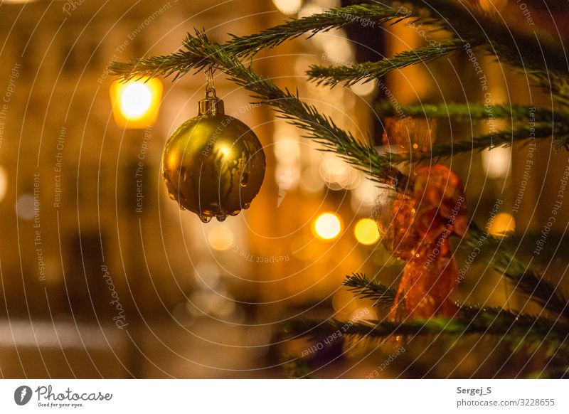 Wet Christmas Decoration Christmas & Advent Drops of water Winter Bad weather Kulmbach Germany Small Town Downtown Deserted Colour photo Exterior shot Close-up