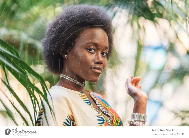 Cheerful African lady amidst palm leaves woman smile african leaf traditional colorful joy female relax ethnic black cheerful happy glad delighted optimistic