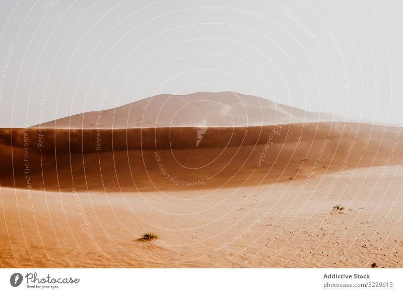 Sandy dune in arid desert sand sky gray morocco africa nature dry landscape hill wilderness nobody cloudless weather hot warm drought terrain calm tranquil