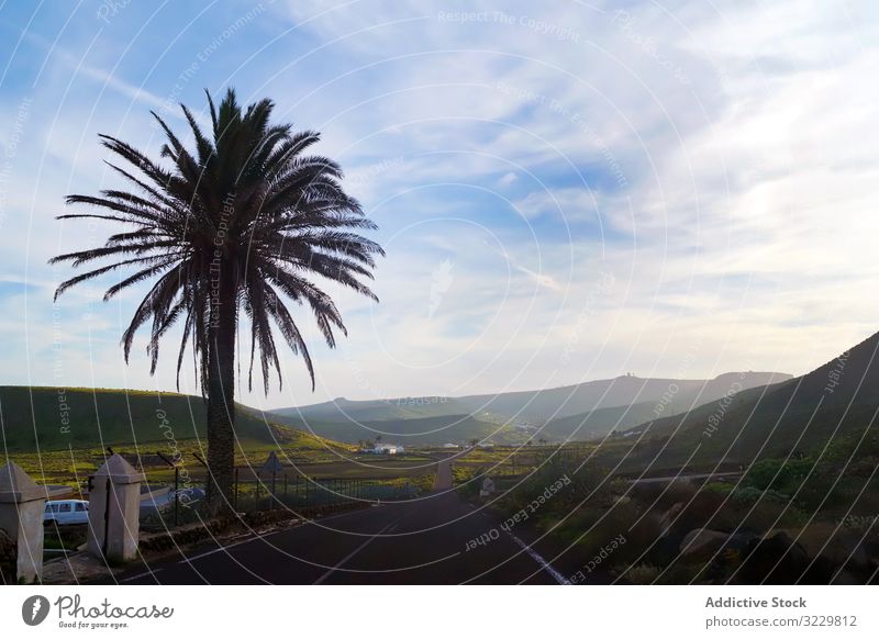 Endless road riding to mountains along fields nature landscape travel sky green summer perspective endless countryside way trip valley rural scenery adventure