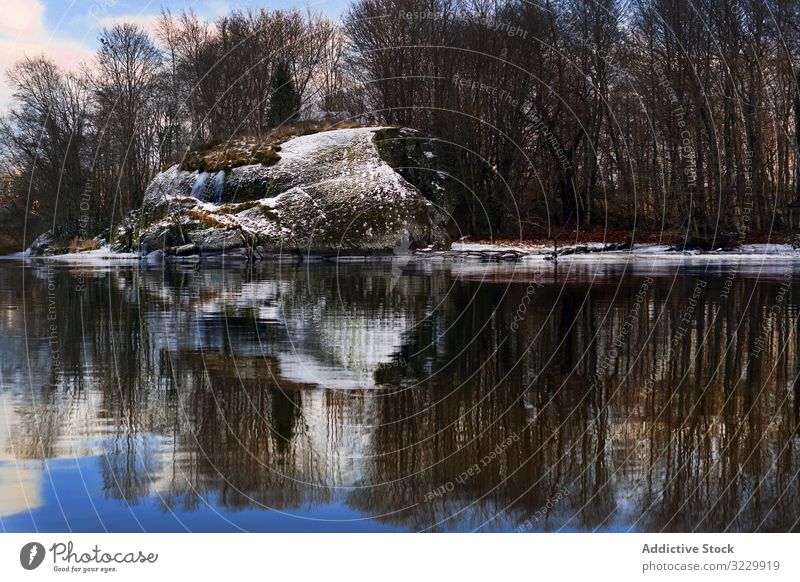 Frosted bank of river with bare trees riverbank frosted riverside snow leafless water norway still reflection stone silhouette blue sky frozen nature snowy lake