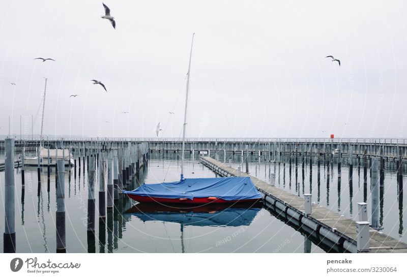 lost last boot Nature Landscape Elements Water Sky Winter Coast Lakeside Navigation Sailboat Lie To swing Sleep Wait Harbour Jetty Lake Constance