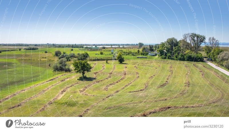 around Podersdorf am See Vacation & Travel Summer Nature Landscape Plant Bushes Meadow Lake Peaceful Idyll Federal State of Burgenland Austria