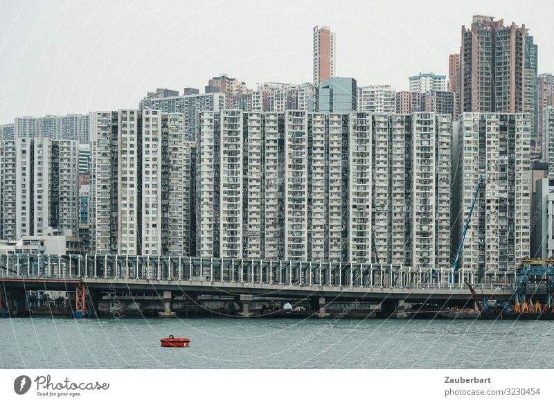 Skyscrapers in Hong Kong, seen from the harbour City trip Hongkong China Town Downtown Skyline High-rise Harbour Facade Window Living or residing Sharp-edged