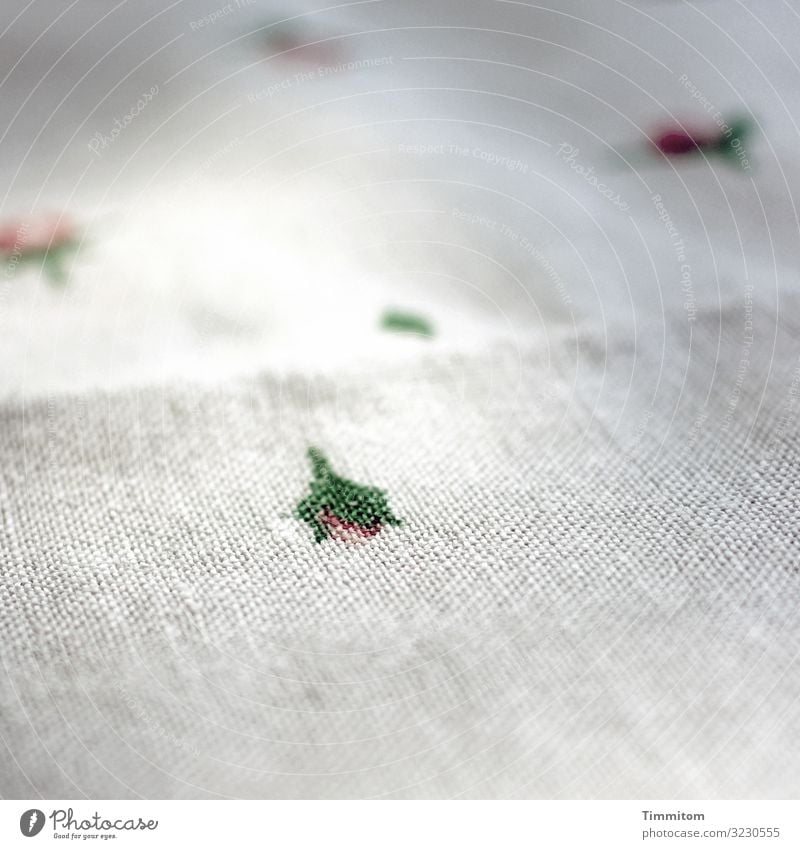 Table cloth from front tablecloth Handcrafts Flower Blossom leaves red green Old worth preserving Cloth White Shallow depth of field Wrinkles