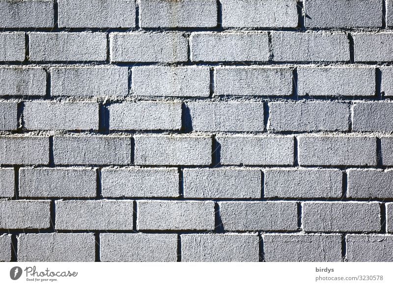 wall Bricklayer Wall (barrier) Wall (building) Brick wall Line Authentic Simple Gray Black Protection full-frame image Background picture Colour photo