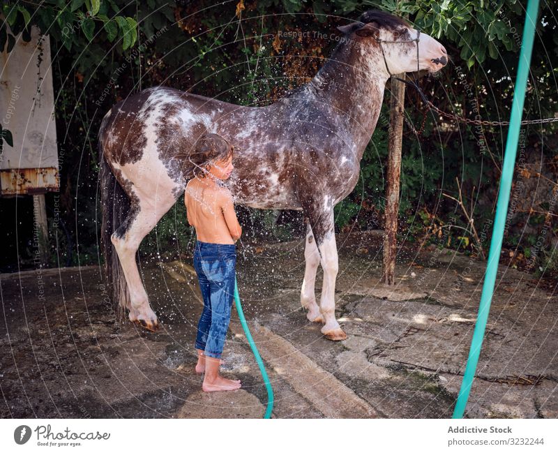 Child caressing and washing horse in summer boy farm child stallion barefoot hose countryside love ranch water vacation splash hobby holiday rider summertime