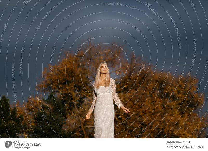 Beautiful blonde woman gazing at autumn countryside inspiration tender beautiful lace content woodland smile contemplation rural orange foliage young adult joy