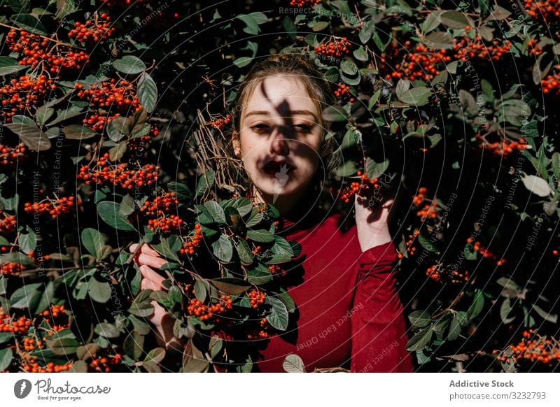 Young woman in bush with berries garden berry branch foliage closed eyes young sunny daytime female nature fresh bloom blossom lifestyle countryside natural red