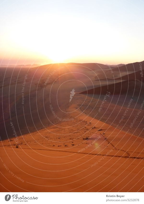 sunrise in the Namib Vacation & Travel Expedition Sun Nature Landscape Earth Sand Cloudless sky Sunrise Sunset Climate Beautiful weather Drought Hill Peak