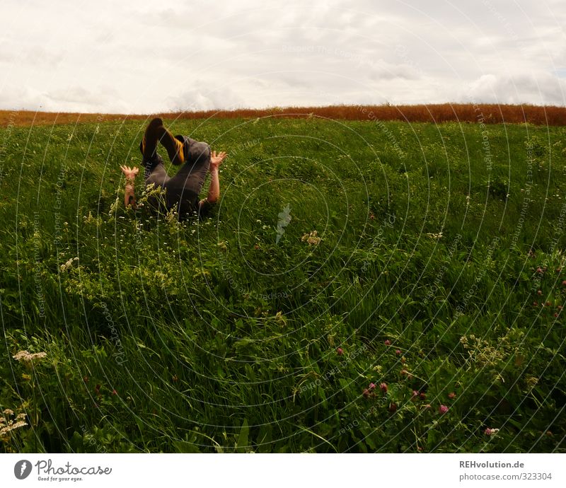 Man does a roll in the meadow Lifestyle Leisure and hobbies Playing Human being Masculine Young man Youth (Young adults) 1 18 - 30 years Adults Environment