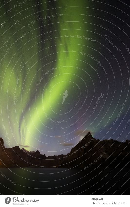 veil dance Vacation & Travel Nature Landscape Night sky Stars Mountain Fjord Reine Norway Scandinavia Lofotes Esthetic Exceptional Green Bizarre Energy Climate