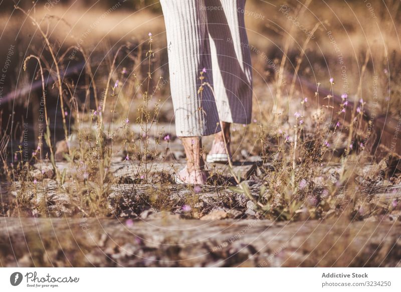 Long haired woman standing on railways overgrown with dry grass road travel nostalgia journey track railroad female classic passenger tourism destination