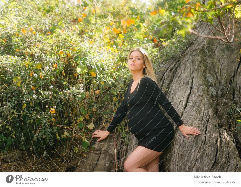 Pensive pregnant woman looking at camera while sitting in garden in sunny day expectation flower beauty prenatal calm rural maternity childbearing belly parent