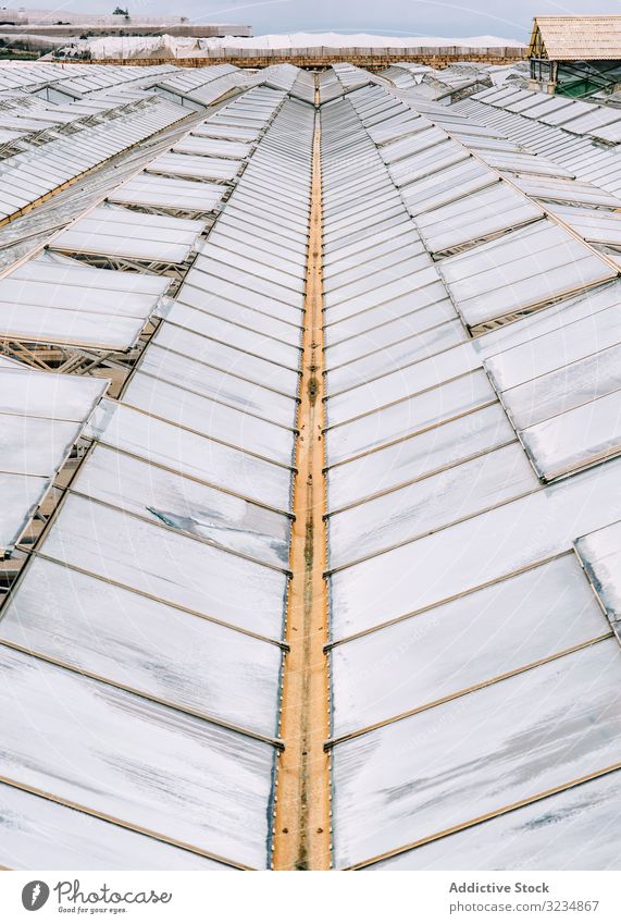 Glass greenhouse roofs in overcast weather farm glasshouse hothouse rural business garden work hotbed horticulture polycarbonate construction propagator