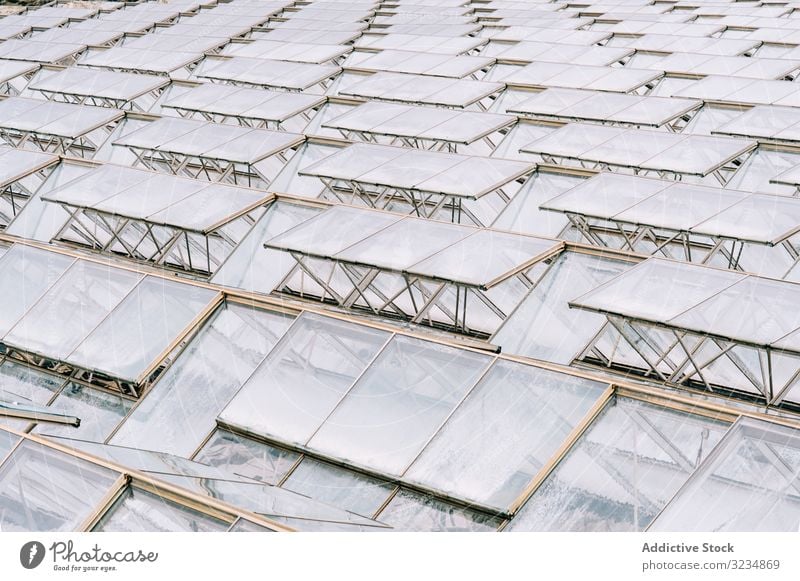 Glass greenhouse roofs in overcast weather farm glasshouse hothouse rural business garden work hotbed horticulture polycarbonate construction propagator