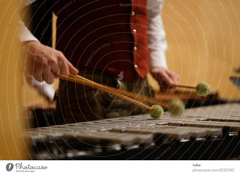 The Percussionist Music Musician Orchestra Passion Glockenspiel Drummer Concert Colour photo Interior shot