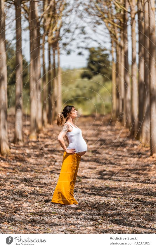 Adult expectant mother practicing yoga in park during sunny day woman practice glade pose pregnant concentration exercise belly health expectation female