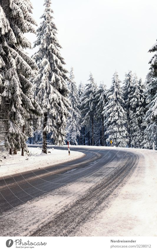 road conditions Vacation & Travel Trip Winter Christmas & Advent New Year's Eve Nature Landscape Sky Weather Ice Frost Snow Snowfall Tree Forest Transport