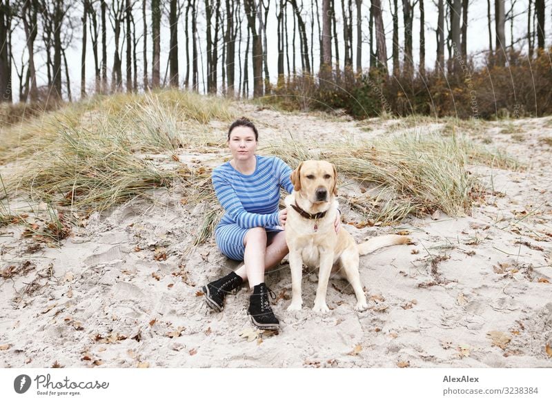 Young woman with blond Labrador sits on beach dune Joy Beautiful Life Harmonious Trip Adventure Youth (Young adults) Adults 30 - 45 years Landscape Autumn Tree